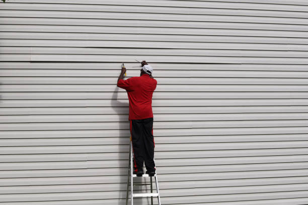 Affordable Siding Repair and Maintenance Services in Felton, DE